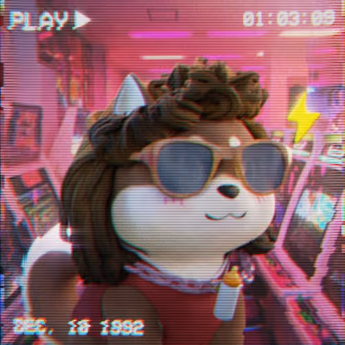 RetroDoge #1500