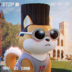 RetroDoge #6960