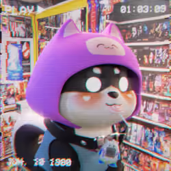RetroDoge #1955
