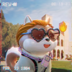 RetroDoge #3