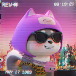 RetroDoge #2777