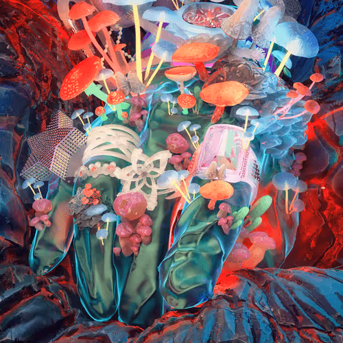 FUNGORUM