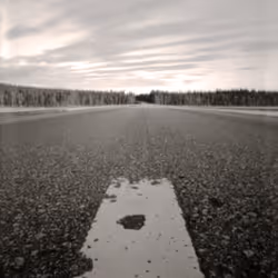 45