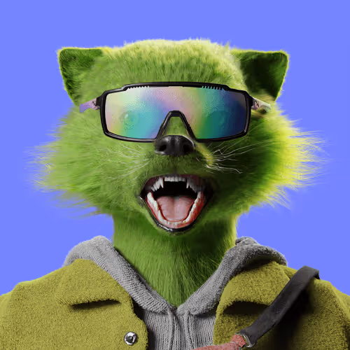 Mightyraccoonsnft