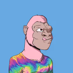 Kong #2773