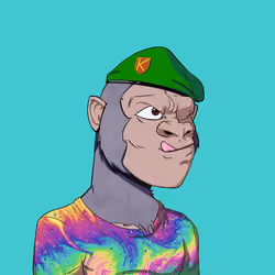 Kong #1237