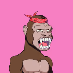 Kong #6484