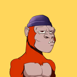 Kong #2041
