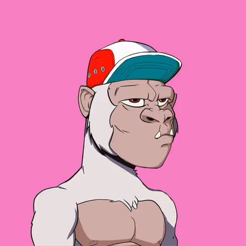 Kong #4