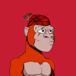 Kong #8376