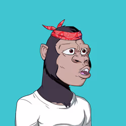 Kong #1637