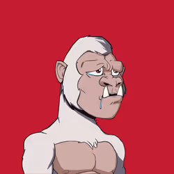 Kong #2074