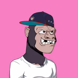 Kong #2248