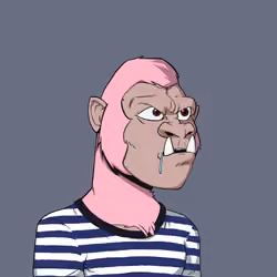 Kong #5144