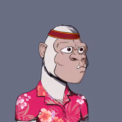 Kong #2489