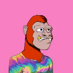 Kong #5384