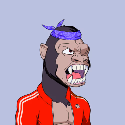 Kong #501