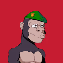 Kong #6449
