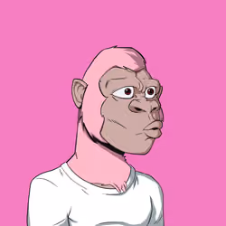 Kong #588
