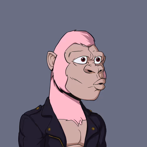 Kong #9066