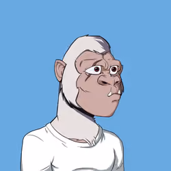Kong #1798