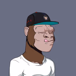 Kong #2858