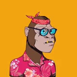 Kong #4256