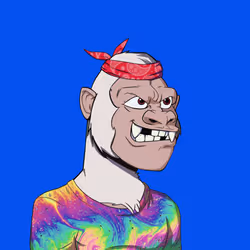Kong #5560