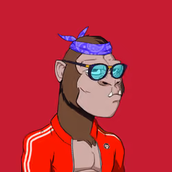 Kong #7937