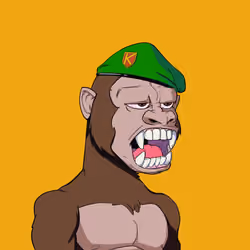 Kong #1216