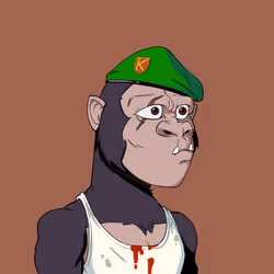 Kong #6498