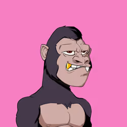Kong #8772