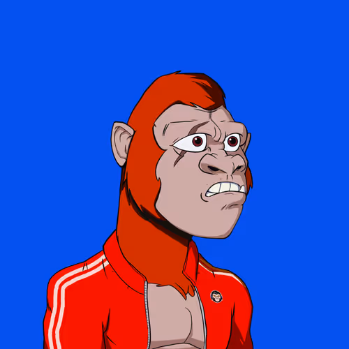 Kong #9393
