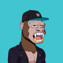 Kong #3364