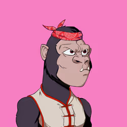 Kong #2562