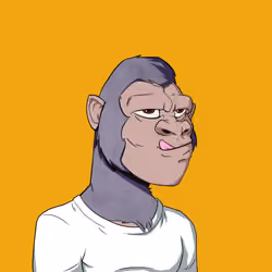 Kong #4173