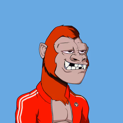 Kong #8586