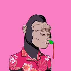 Kong #5643