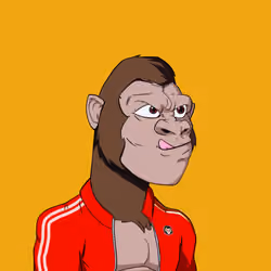 Kong #5294