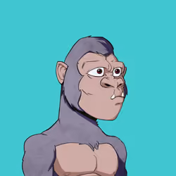 Kong #6342