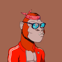 Kong #8768