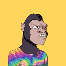 Kong #6553