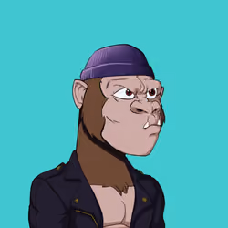 Kong #4284