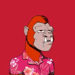 Kong #3101