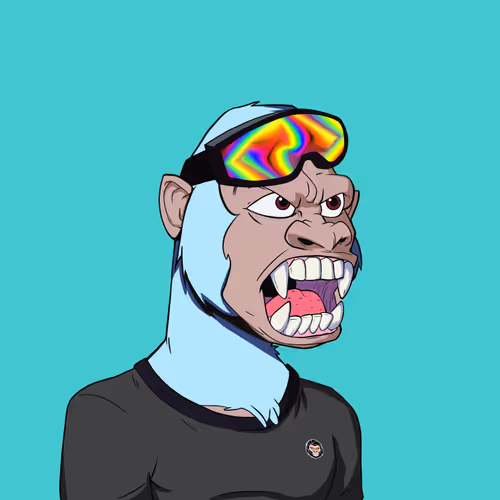 Kong #1566