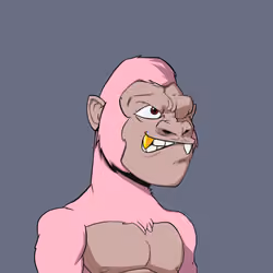 Kong #6541