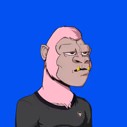 Kong #3825