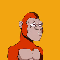 Kong #9382