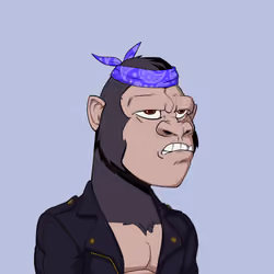 Kong #1591