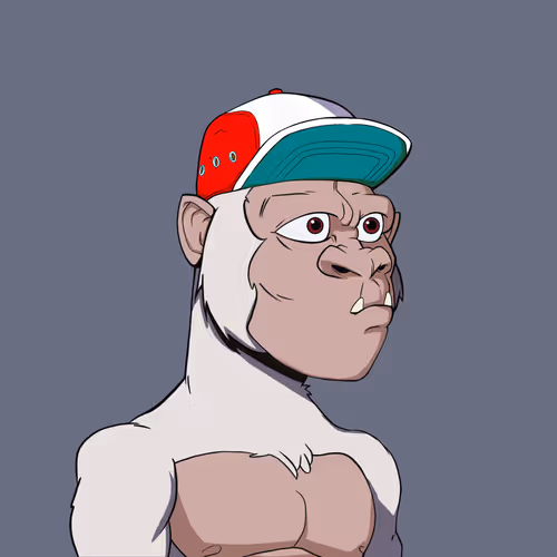Kong #5081